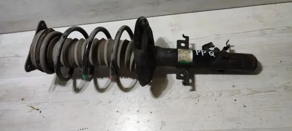 Nissan Qashqai Front shock absorber with coil spring 543024EA3A
