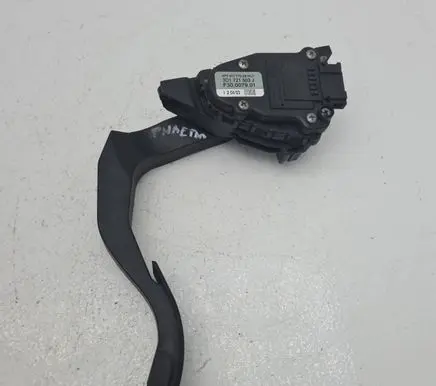 Volkswagen Phaeton Accelerator throttle pedal 3D1721503J F30007901