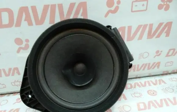 Opel Mokka X Rear door speaker 84248776