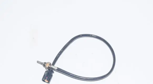 Exhaust gas temperature sensor