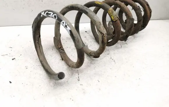 Rear coil spring