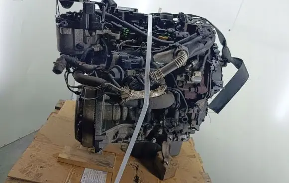 Ford Focus Engine T1DB