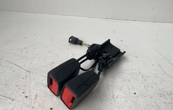Volkswagen ID.4 Middle seatbelt buckle (rear) 651081600B