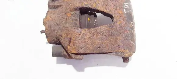 Volkswagen Golf IV Front brake caliper