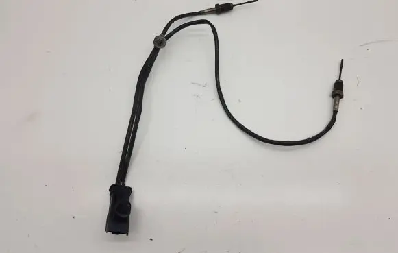 Peugeot 208 Exhaust gas temperature sensor 9812376480