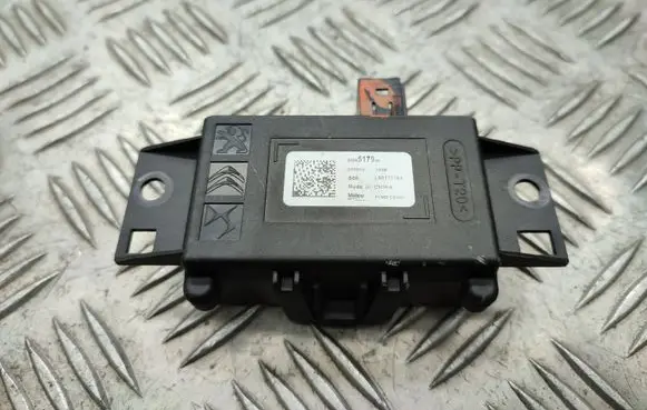 Peugeot 2008 II Other control units/modules 9828517980