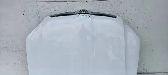 Engine bonnet/hood