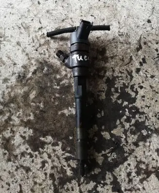 Hyundai Tucson JM Fuel injector 0445110258