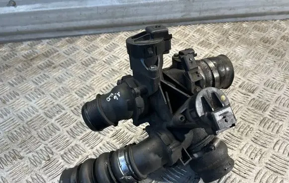 Citroen Xsara Picasso Throttle valve