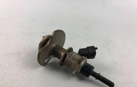 Volkswagen Tiguan AdBlue injector 7LA131113A