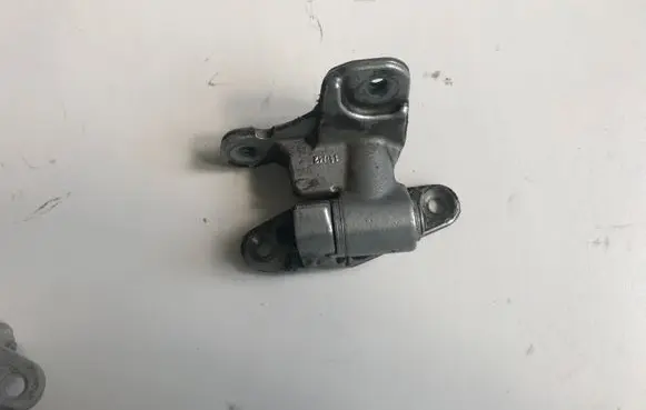 Rear door lower hinge