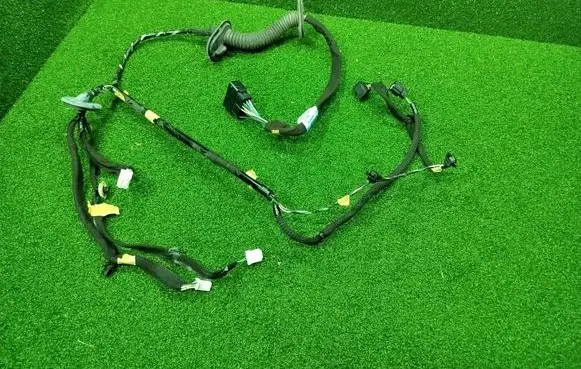 Renault Trafic III (X82) Front door wiring loom 241252495R
