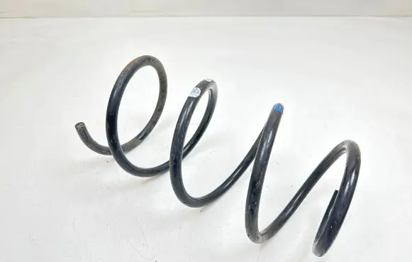 Front coil spring