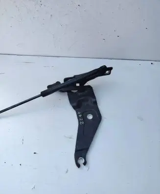 BMW X6 E71 Engine bonnet/hood hinges 7208627
