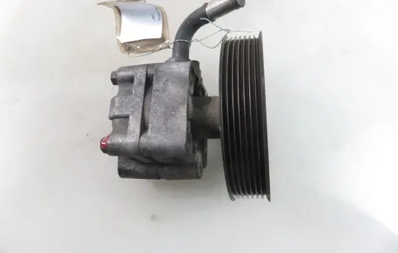 Suzuki Grand Vitara II Power steering pump 4910067J00