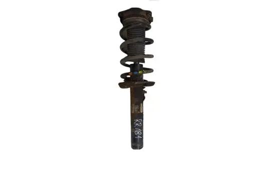 Volkswagen PASSAT B7 Front shock absorber with coil spring 3C0413031N