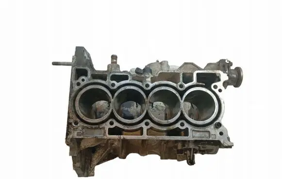 Dacia Dokker Engine block H4MD738R004057