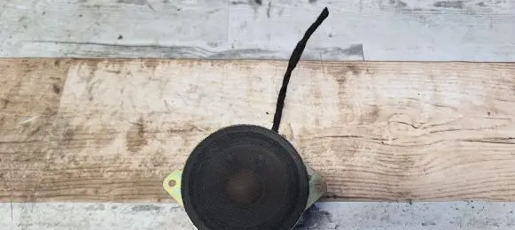 Panel speaker