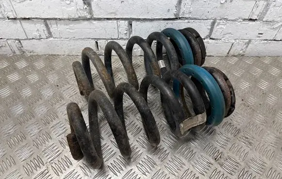 Rear coil spring