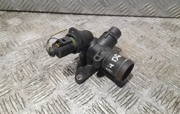 Thermostat/thermostat housing