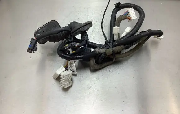 Nissan Qashqai Front door wiring loom 241244EH0D