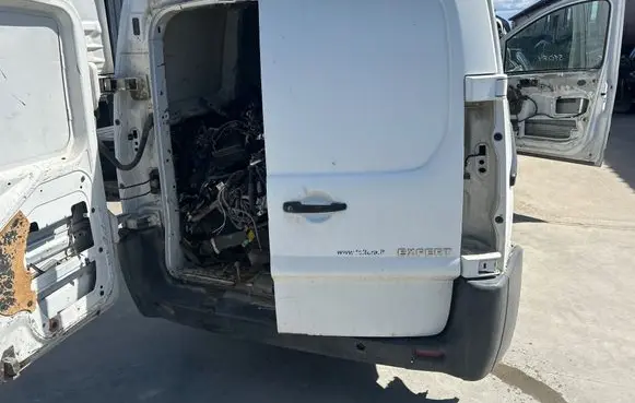 Peugeot Expert Back/rear loading door 