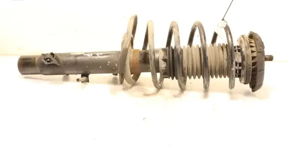 Front shock absorber with coil spring