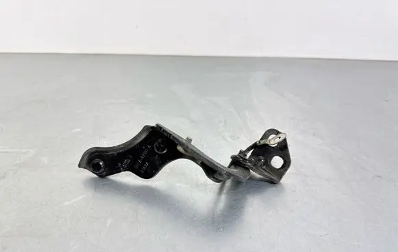 Land Rover Range Rover Sport L494 Tailgate/trunk/boot hinge DPLA42901A D36XA