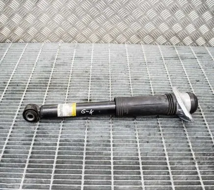 Toyota C-HR I Rear shock absorber/damper 48530F4020