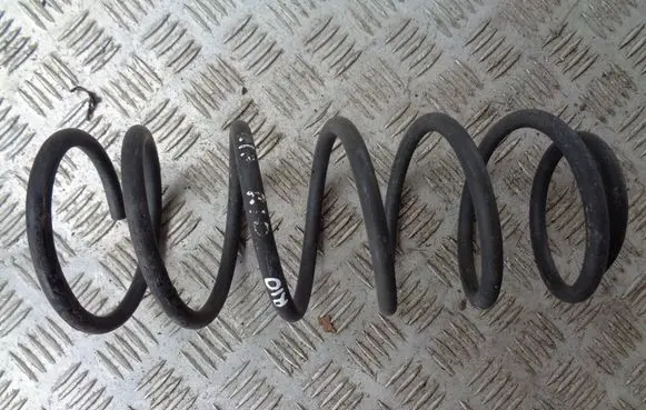 Rear coil spring