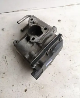 EGR valve