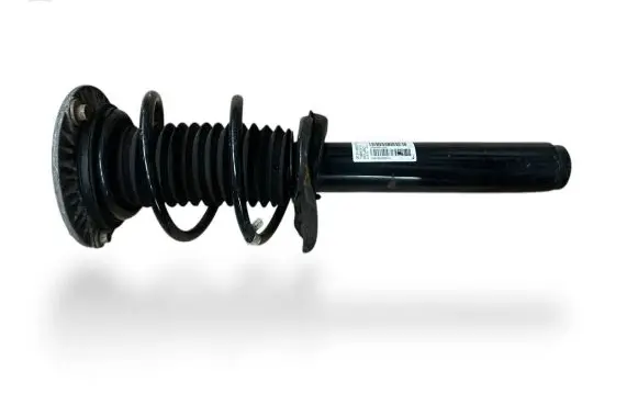 BMW 1 F20 F21 Front shock absorber with coil spring 6856716 31316856716