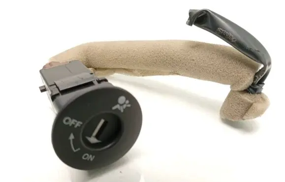 Nissan Leaf I (ZE0) Passenger airbag on/off switch 25585BC600