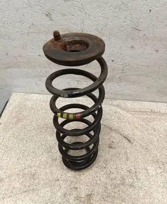 Rear coil spring