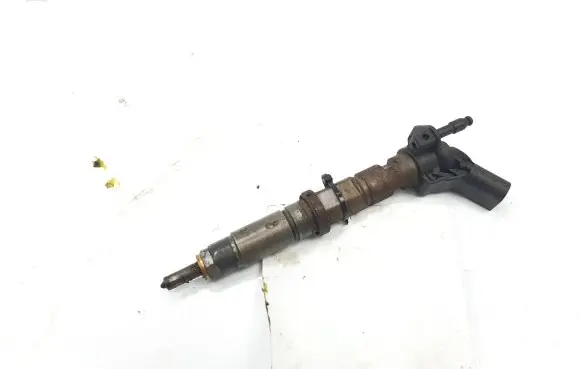 Volkswagen Crafter Fuel injector 076130277