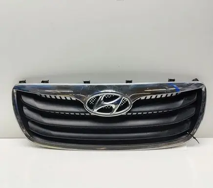 Hyundai Santa Fe Front grill 865612B710