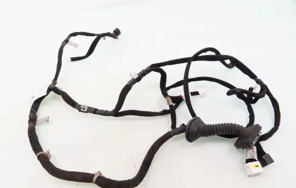 KIA Sportage Front door wiring loom 916101F190