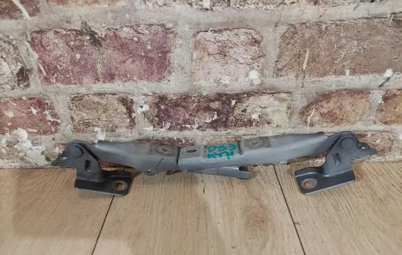 Citroen DS3 Engine bonnet/hood hinges