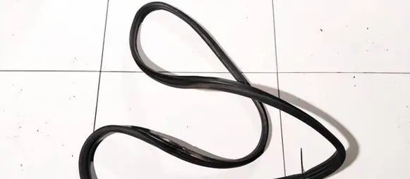 Peugeot 406 Rubber seal rear door 