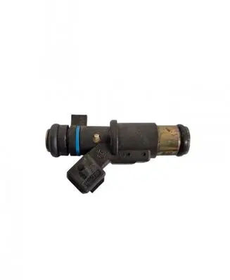 Citroen Berlingo Fuel injector 01F002A