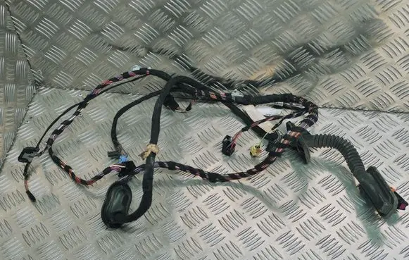 Volkswagen Polo V 6R Front door wiring loom 18746C1120