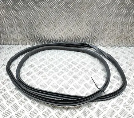 MG MG5 ev Rubber seal front coupe door 10321422