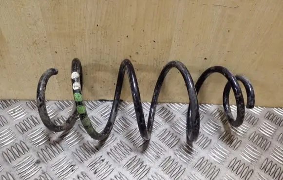 Front coil spring