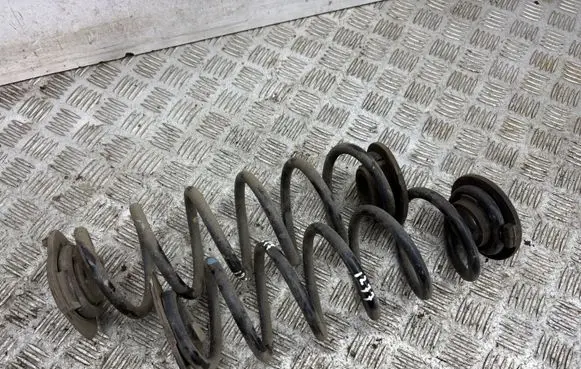 Rear coil spring
