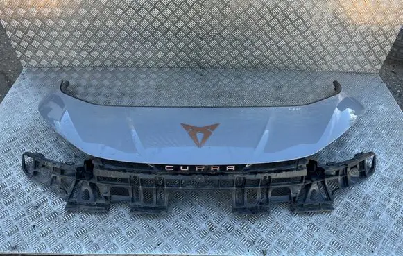 Cupra Born Front bumper 10E807217H