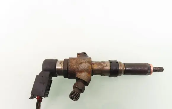 Citroen C3 Fuel injector 9652707180