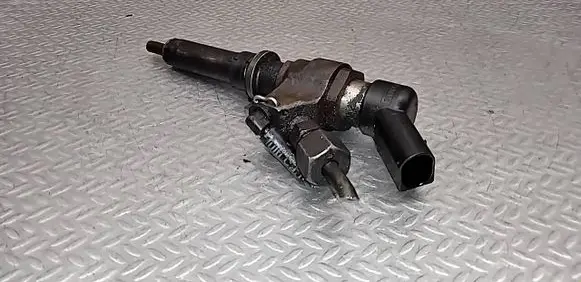 Citroen Berlingo Fuel injector 9652173780