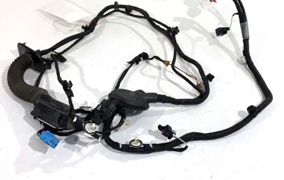 Audi A5 Front door wiring loom 8W6971030BF
