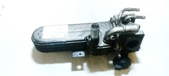 Skoda Octavia Mk2 (1Z) EGR valve cooler 038131513ad 554805008