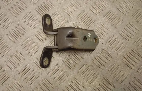 Rear door lower hinge